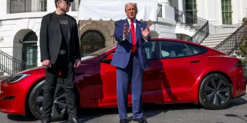 Musk Scales Back Role in Trump Administration as Tesla Profits Crash 70%
