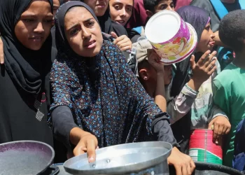 UN Warns One in Three Gazans Going Days Without Food as Starvation Crisis Deepens
