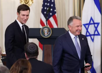 High‑Stakes Peace Push: Trump Envoy and Kushner Head to Egypt for Gaza Talks